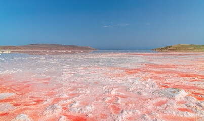 Brine and salt of a pink lake Koyash colored by microalgae Dunaliella salina, famous for its...