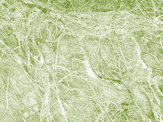 green marble texture and pattern background