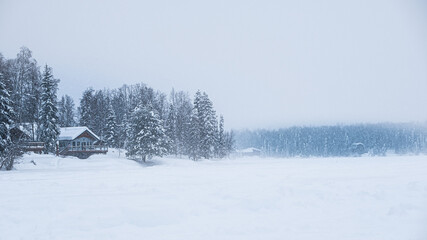 winter landscape with a house