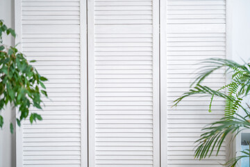 White folding louver screen, screen with indoor green plants.