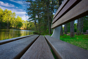 Interesting perspective of a park bench at Bear Brook State Park in Allenstown, NH
