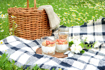 Picnic in the Park on the green grass with berry, granola.  Picnic basket and blanket. Summer holiday