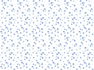 Fotobehang Blauw wit Vector naadloos patroon. Mooi patroon in kleine bloem. Kleine lichtblauwe bloemen. Witte achtergrond. Ditsy bloemenachtergrond. De elegante sjabloon voor modeprints.