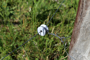 close up of a electrical wire fence around a pasture