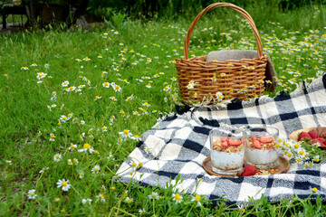 Picnic in the Park on the green grass with berry, granola.  Picnic basket and blanket. Summer holiday