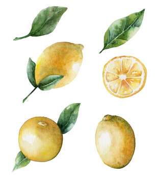 Watercolor lemons and leaves pictures set.
