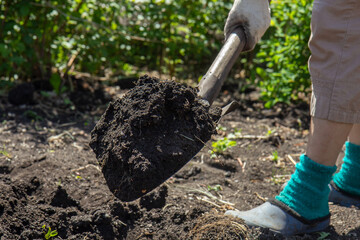 Obraz premium Garden work - digging