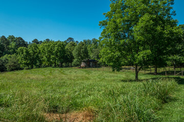 Rural homestead in farmland