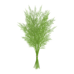 Bunch of green dill on white background. Isolated object on a white background. Cartoon style. Object for packaging, advertisements, menu. Vector illustration.