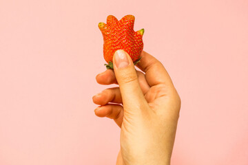 Ugly food: unusual strawberry in a woman hand.