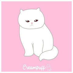 Creampuff white and pink cat. Flat Vector Illustration