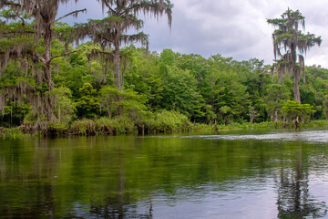 Freshwater Springs in Wakulla County, Florida