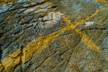 Cicatrices, grietas en las rocas de la cala Baladrar, en Benissa, Alicante