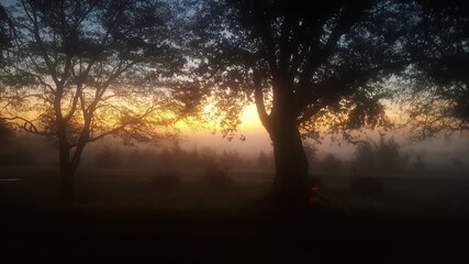 Fototapeta na wymiar Foggy dawn