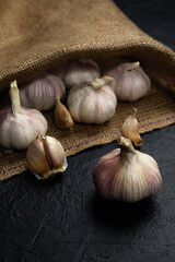 Fresh garlic cloves and garlic bulb on burlap. Organic garlic