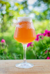 Delicious homebrewed beer, diffferent styles and rich taste