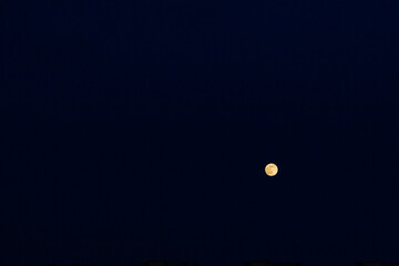 A bright moon in the black night sky