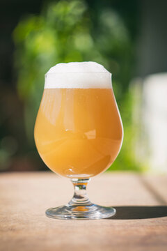 Delicious homebrewed beer, diffferent styles and rich taste