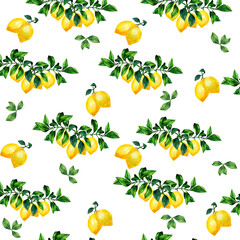 Watercolor seamless pattern with hand drawn citrus branches. Beautiful summer print.