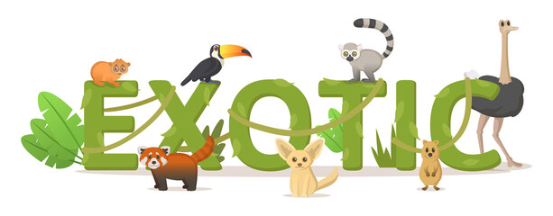 Word EXOTIC with jungle plants and exotic animals. For design poster, banner, flyer, printing. Colorful flat vector illustration, isolated on white background. © Tatyana