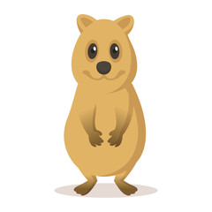 Funny quokka smiling. Colorful flat vector illustration, isolated on white background.