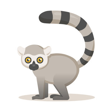 Cute African lemur. Colorful flat vector illustration, isolated on white background.