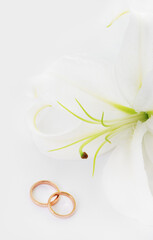 Wedding rings near Lily