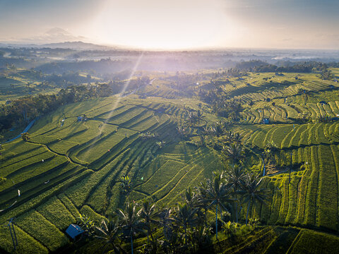 Sunrise. Unesco World Heritage Jatiluwih Rice Terrace. Bali, Tabanan, Indonesia from the sky. Drone photography