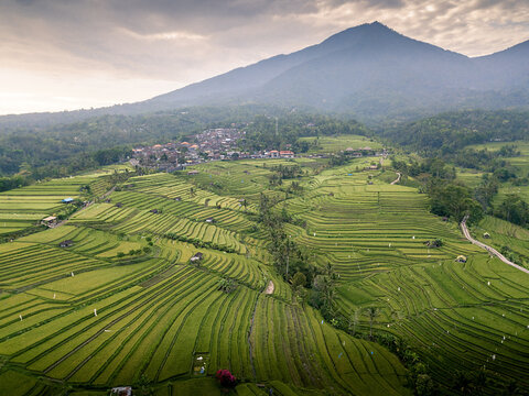 Sunrise. Unesco World Heritage Jatiluwih Rice Terrace. Bali, Tabanan, Indonesia from the sky. Drone photography