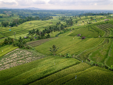 Sunrise. Unesco World Heritage Jatiluwih Rice Terrace. Bali, Tabanan, Indonesia from the sky. Drone photography