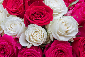 Multi-colored bouquet of red, pink and white roses