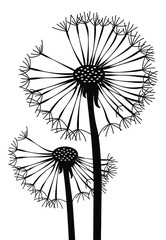 Laser cutting floral template. Dandelion.  Black and white plant wall sticker decal. Die cut silhouette. Stamp. Vector illustration