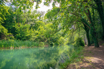 Fototapeta na wymiar Iskar Panega Geopark along the Gold Panega River near Lukovit, Bulgaria