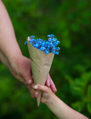 hands of an elderly person take from the child's palm a bouquet of wild flowers blue forget me nots...