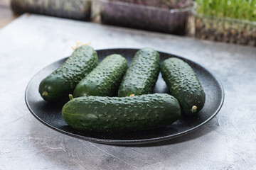 Tasty and healthy, ripe cucumbers on a plate