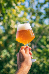 Delicious homebrewed beer, diffferent styles and rich taste