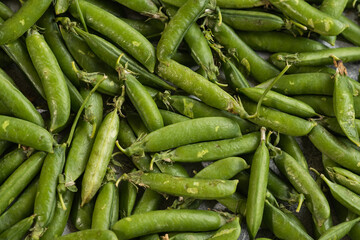 A lot of fresh and tasty green peas. Healthy food