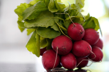 Bunch of fresh red radishes with green leaves, isolated 