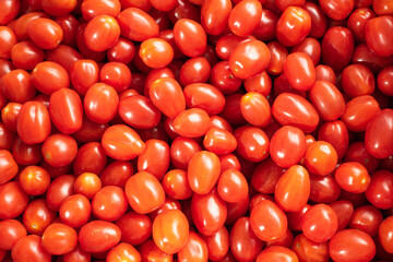 Lots of red, tasty and fresh tomatoes. Healthy food
