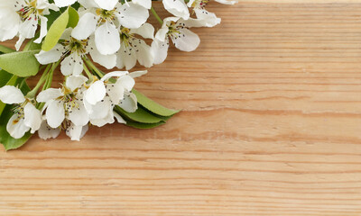 Beautiful background with white flowers, white pear flowers on a wooden background, a frame of flowers on old wooden boards, a flower border on a wooden background with copy space for the text.