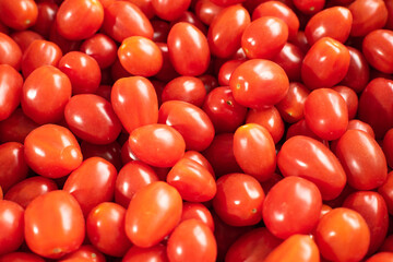 Fototapeta na wymiar Lots of red, tasty and fresh tomatoes. Healthy food