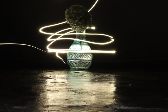 Light of a flower 