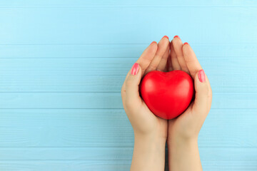 red heart in female hands on a blue wooden background