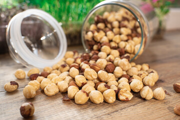 Tasty hazelnuts. Healthy and nutritious food