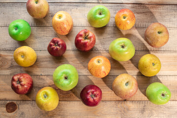 Tasty green, yellow and red apples. Healthy and nutritious food