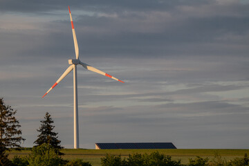 wind turbine in the field