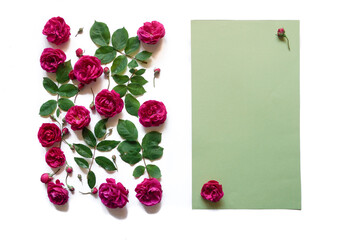 Flowers composition. Rose flowers on white background. Flat lay, top view