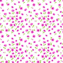 Fototapeta na wymiar Cute floral pattern in the small flower. Ditsy print. Seamless vector texture. Elegant template for fashion prints. Printing with small pink flowers. White background.