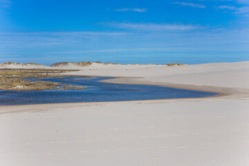 Fototapeta na wymiar The view of Rabjerg mile, which is a largest migrating dune in Denmark close to Skagen
