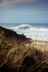 view of the beach with huge waves in Nazare